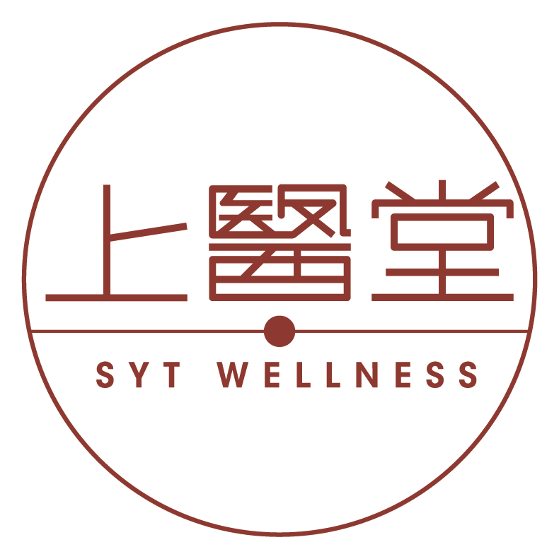 SYT_Logo_update copy