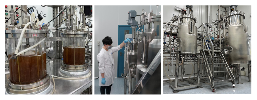 Enzyme Design case image