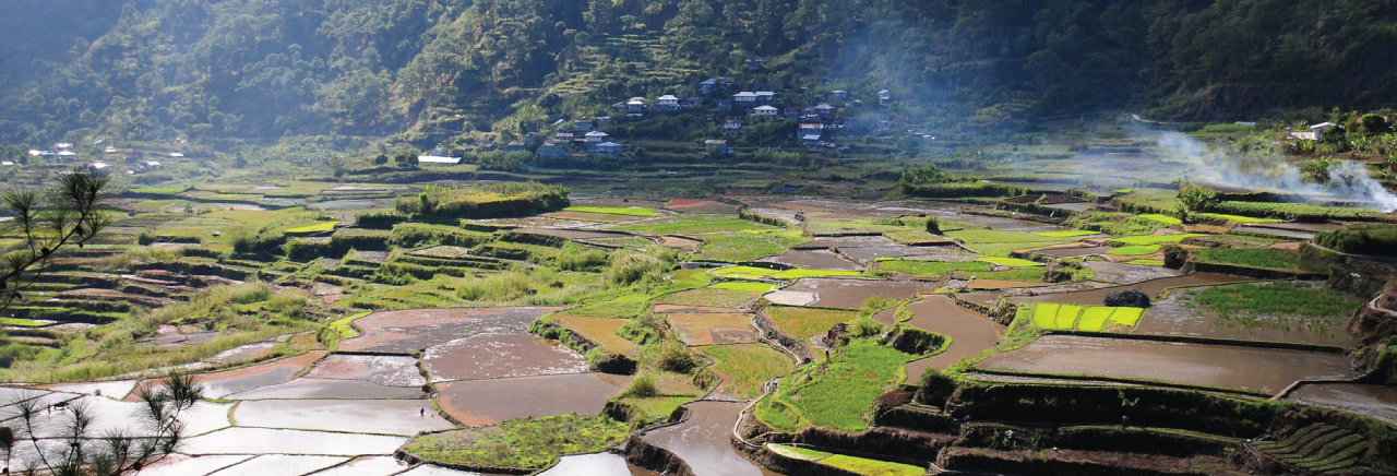 Golden-Sector-Image-1