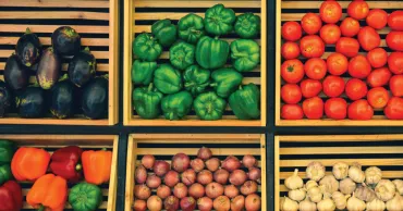 Golden-Sector-Image-KV