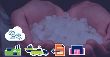Infotech Rice_C
