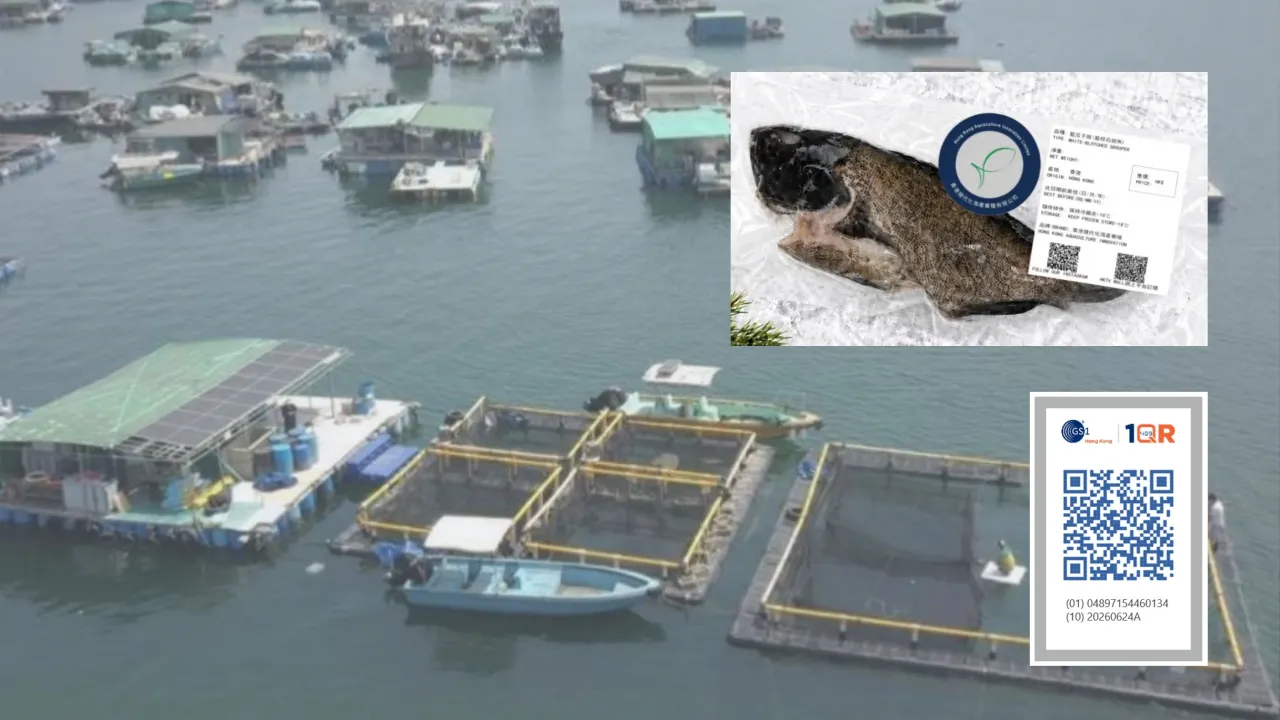 Hong Kong Aquaculture Innovation Turns Traceability to Trust: Showcasing “Hong Kong Direct Supply” Freshness with 1QR
