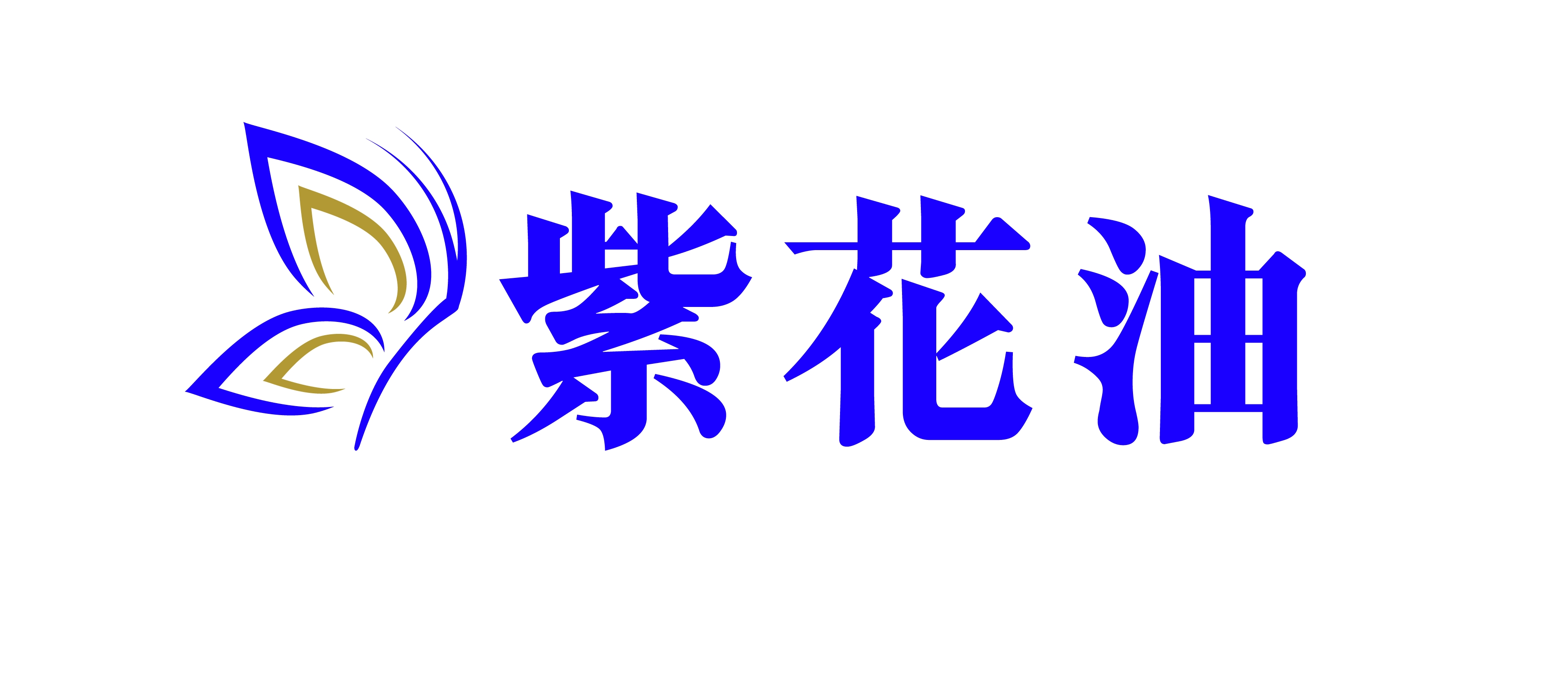 ccs logo
