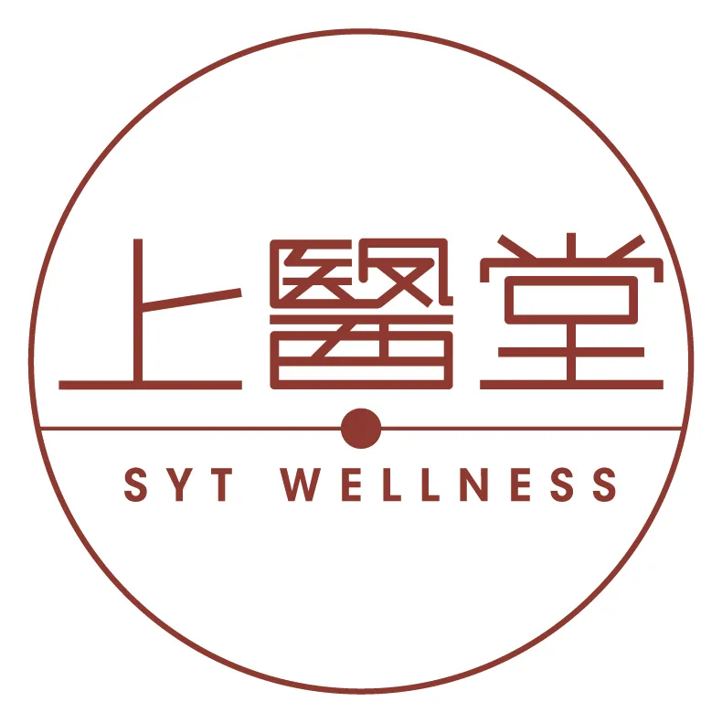 SYT_Logo_update copy
